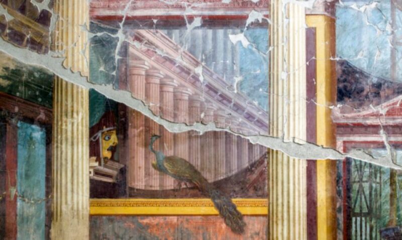Oplontis: Private Walking Tour at Villa Di Poppea - Accessibility and Meeting Information