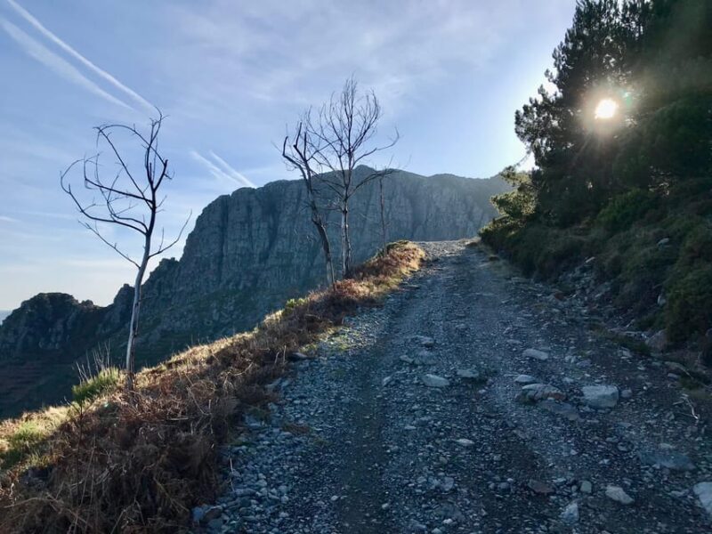 Oporto: Challenging Trail to Marão Mountain With Picnic - Experience Details