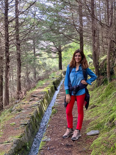 Oporto: Challenging Trail to Marão Mountain With Picnic - Highlights and Activities