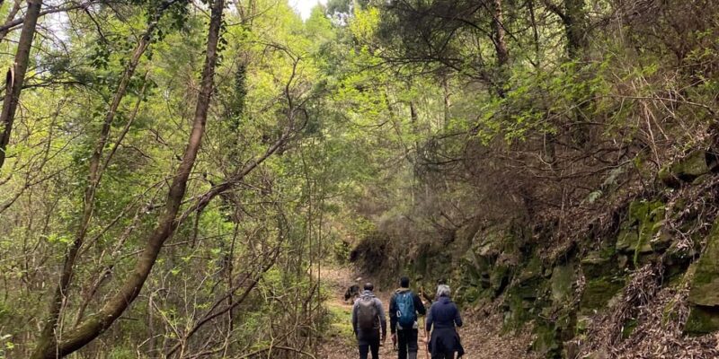 Oporto: Challenging Trail to Marão Mountain With Picnic - Trail Features