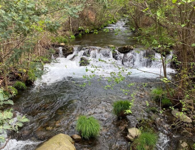 Oporto: Challenging Trail to Marão Mountain With Picnic - Inclusion and Meeting Point