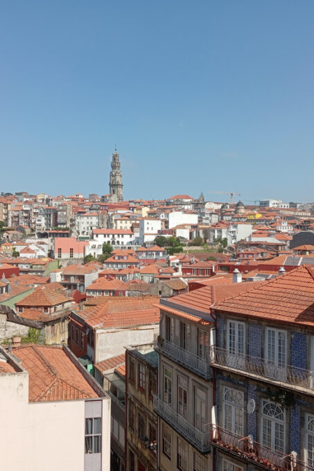 Oporto - Old Town Tour With Official Tour Guide - Booking and Cancellation