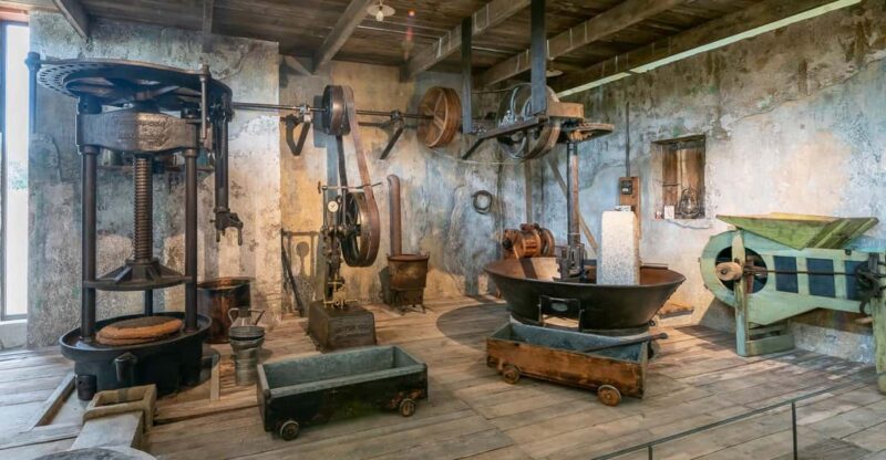 Oppède: Olive Oil Museum Visit - Key Points