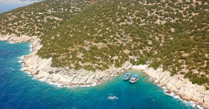 Orak Island Boat Trip Bodrum - Experience Highlights