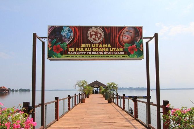 Orang Utan Island and Perak Tong Cave From Kuala Lumpur - Exploring Orangutan Island Sanctuary