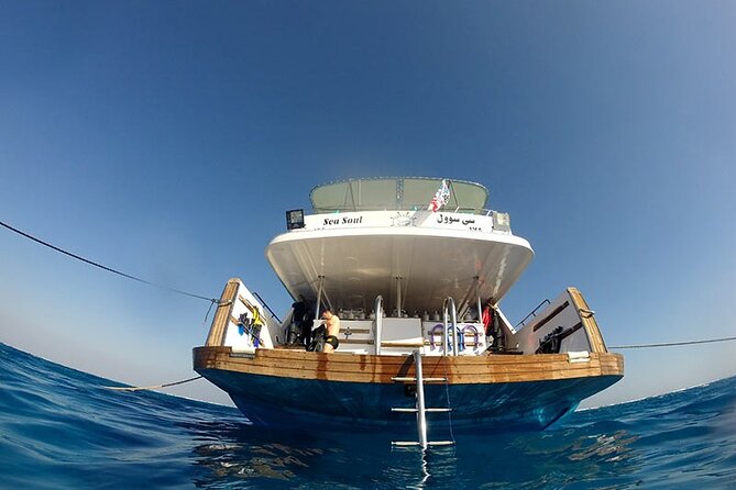 Orange Bay Gifton Island From Hurghada Snorkeling Tour - Guest Feedback and Ratings