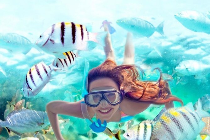 Orange Bay Island Snorkeling Trip in Hurghada - Key Points