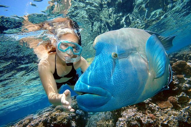 Orange Bay Island Snorkeling Trip With Water Sports From Hurghada - Group Size Limit