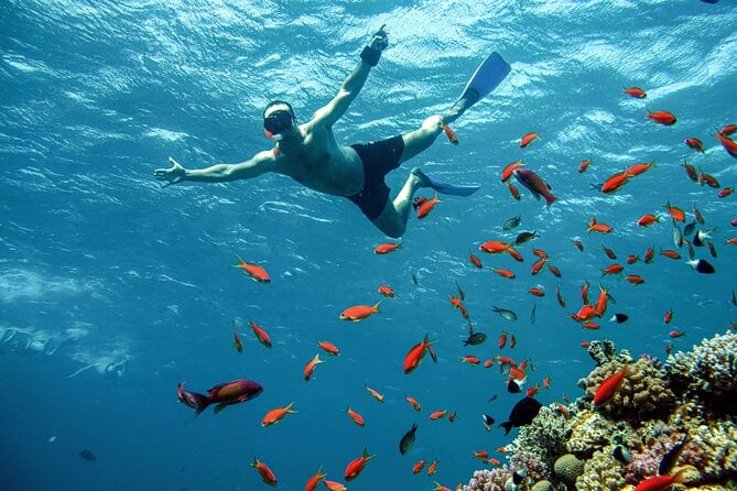 Orange Bay Snorkeling Trip With Lunch & Transfer From Hurghada - Water Activities