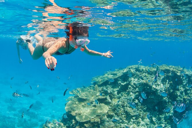 Orange Bay Snorkeling With Lunch and Water Sports - Dining on the Boat
