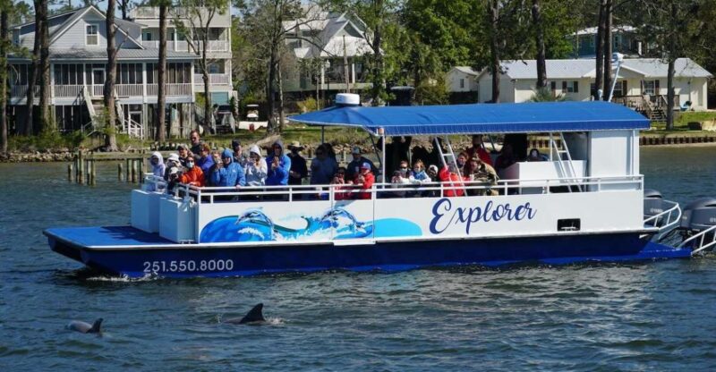 Orange Beach: Dolphin-Watching Eco-Boat Tour - Onboard Amenities