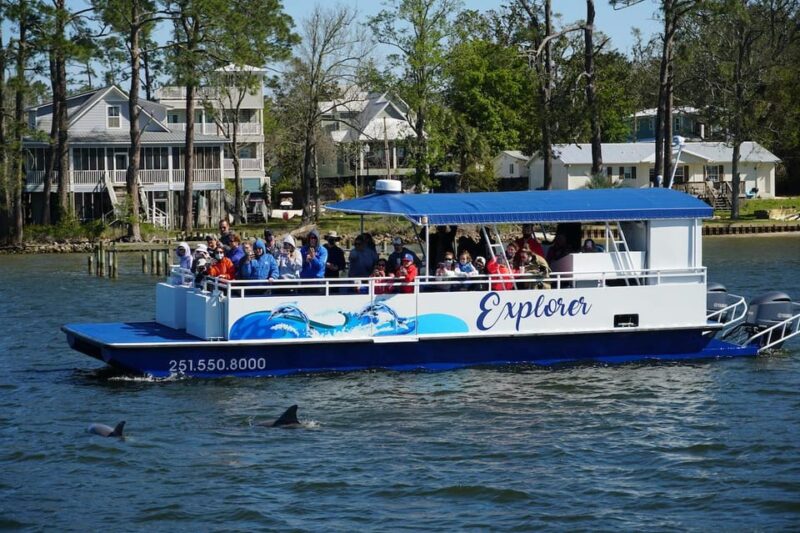 Orange Beach: Dolphin-Watching Sunset Catamaran Cruise - Meeting and Arrival Details