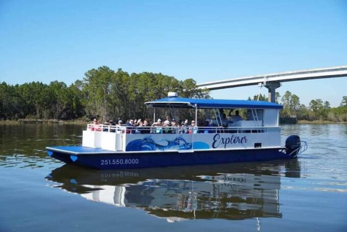 Orange Beach: Dolphin-Watching Sunset Catamaran Cruise - Customer Feedback and Ratings