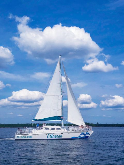 Orange Beach: Sun and Sailing Cruise Aboard Catamaran - Cruise Inclusions and Amenities
