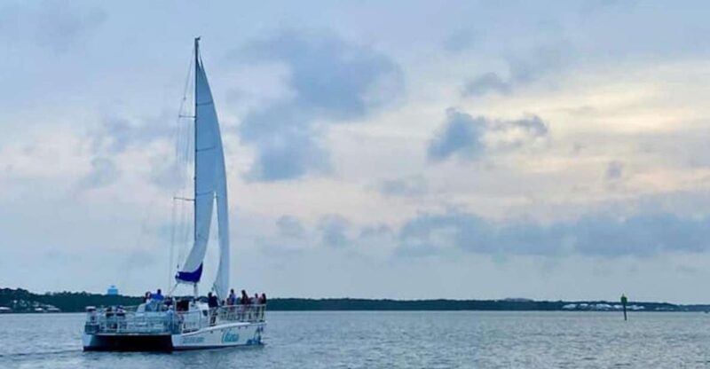 Orange Beach: Sun and Sailing Cruise Aboard Catamaran - Dolphin and Wildlife Sightings