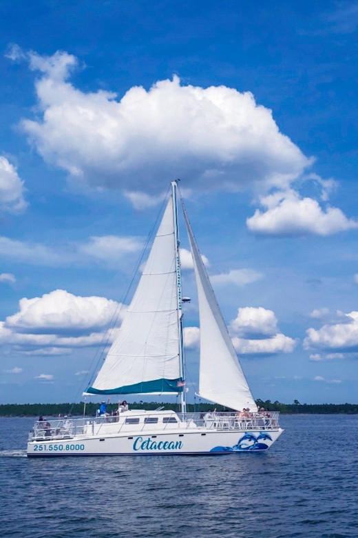 Orange Beach: Sun and Sailing Cruise Aboard Catamaran - Frequently Asked Questions