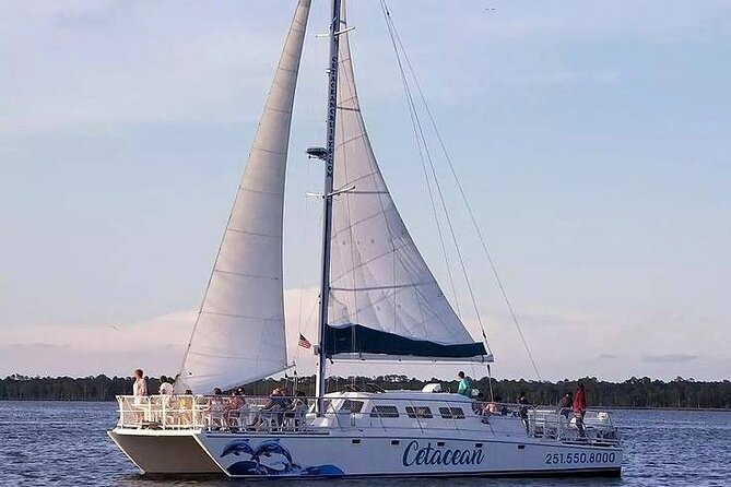Orange Beach Sun and Sailing Cruise Aboard Catamaran - Important Considerations