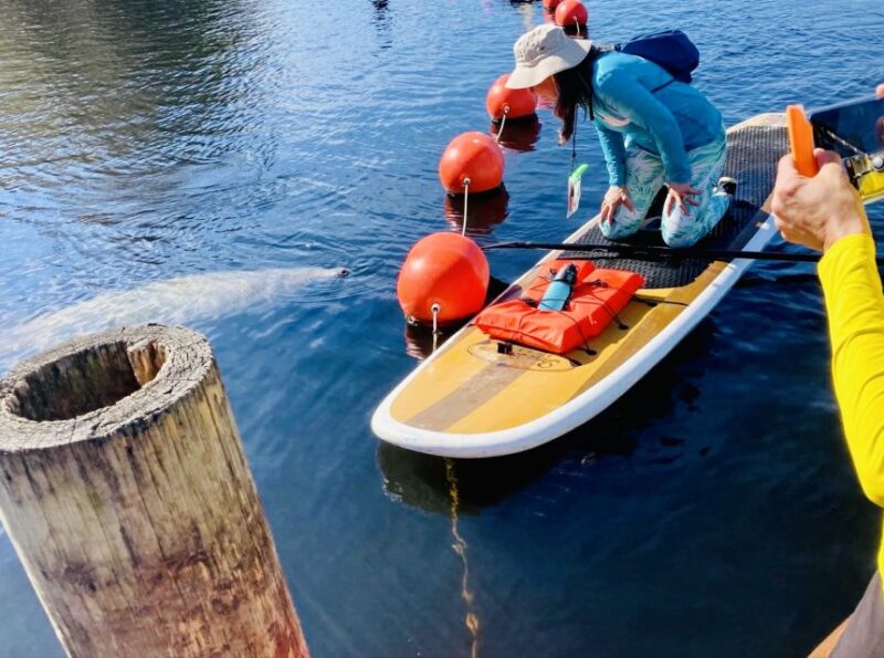Orange City: Blue Spring State Park SUP & Kayaking Tour - Meeting Point and Preparation