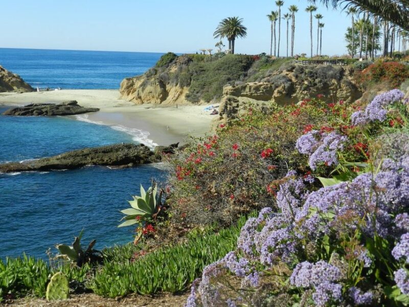 Orange County: Coastal Beach and Highlights Tour by Van - Key Points