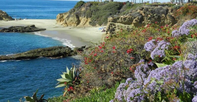 Orange County: Coastal Beach and Highlights Tour by Van - Tour Features