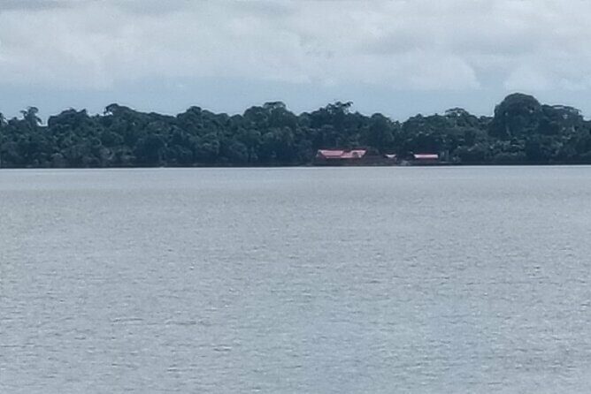 Orangutan Island, A Responsible Wildlife Sanctuary Experience - Conclusions