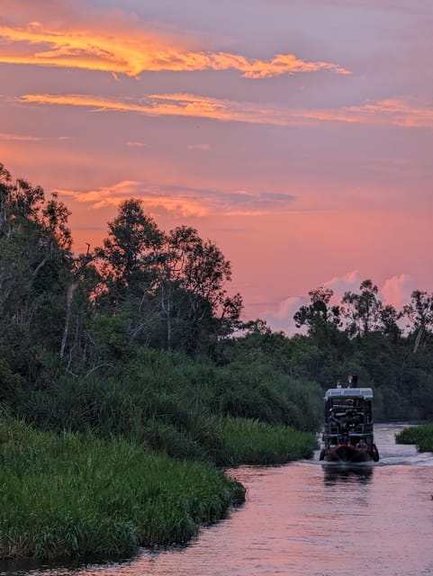 Orangutan Kalimantan 4 Days Trip (Start From Bali). - Key Points