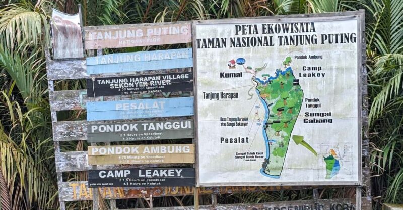 Orangutan Kalimantan 4 Days Trip (Start From Bali). - Itinerary