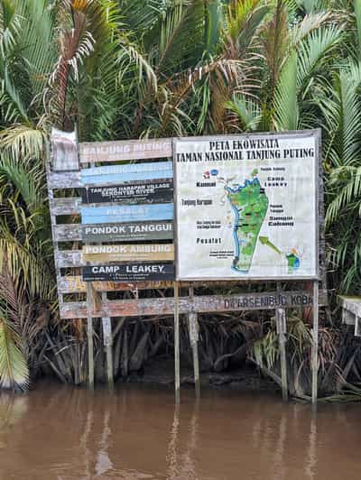 Orangutan Kalimantan 4 Days Trip (Start From Bali). - Highlights and Experience