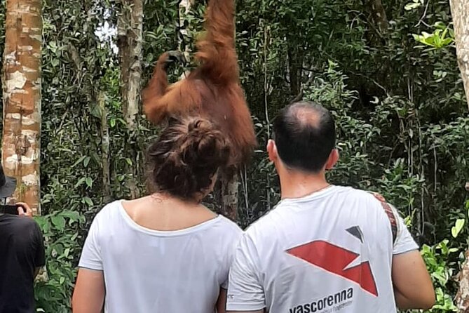 Orangutan Tanjung Puting Honeymoon Couple Tour - Good To Know