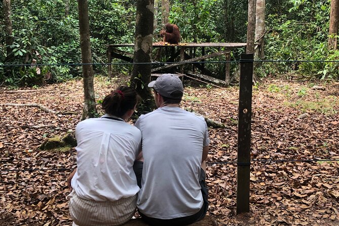 Orangutan Tanjung Puting Honeymoon Couple Tour - Itinerary Highlights