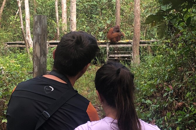 Orangutan Tanjung Puting Honeymoon Couple Tour - Accommodation and Amenities