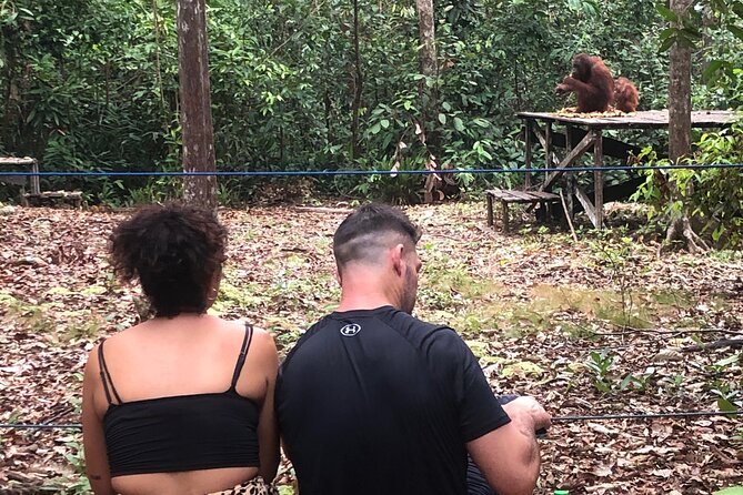 Orangutan Tanjung Puting Honeymoon Couple Tour - Reviews and Feedback