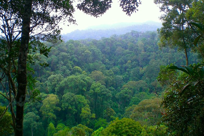 ORANGUTAN TREK (2D/1N) by EcoTravel Bukit Lawang - Physical Fitness Requirements