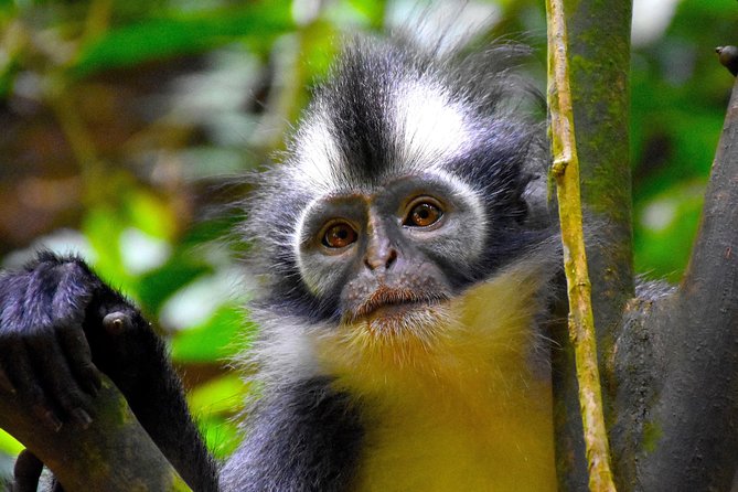 ORANGUTAN TREK (2D/1N) by EcoTravel Bukit Lawang - Packing and Preparations