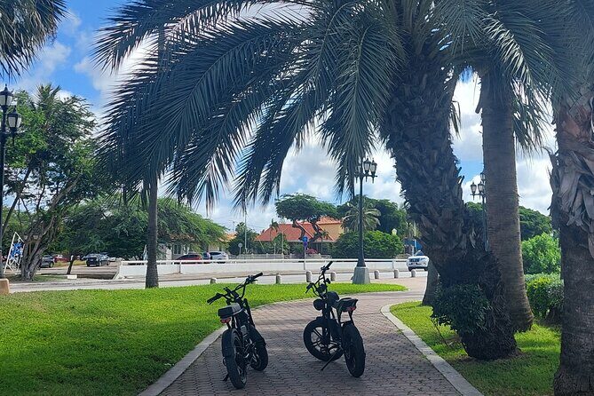 Oranjestad Culture Heritage and Coastal Electric Bike Experience - What Travelers Say