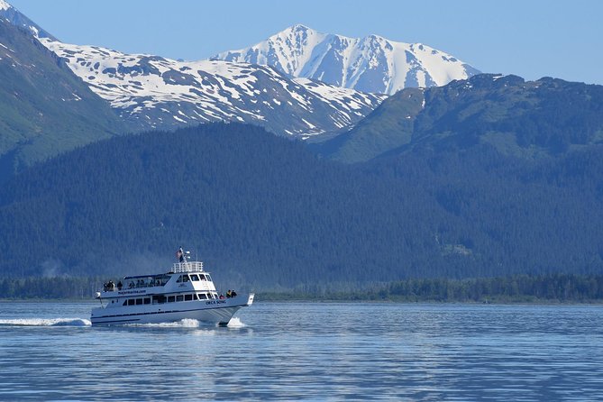 Orca Quest Cruise - Experienced Captains and Educational Narration