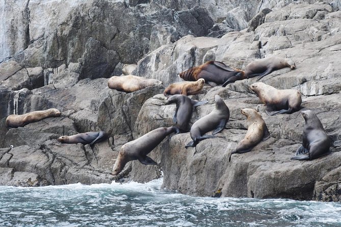 Orca Quest Cruise - Onboard Amenities and Inclusions