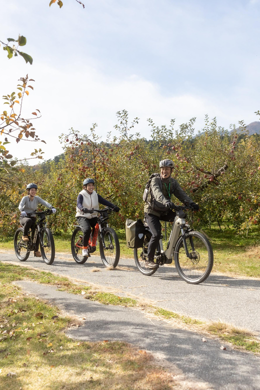 Orchard Cycling Tour With Picnic Lunch in the Alps of Nagano - Key Points
