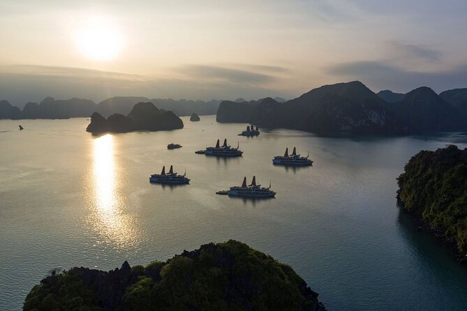 Orchid Trendy Cruises - Halong Bay 2 Days/1 Night 5 Star - Traveler Reviews
