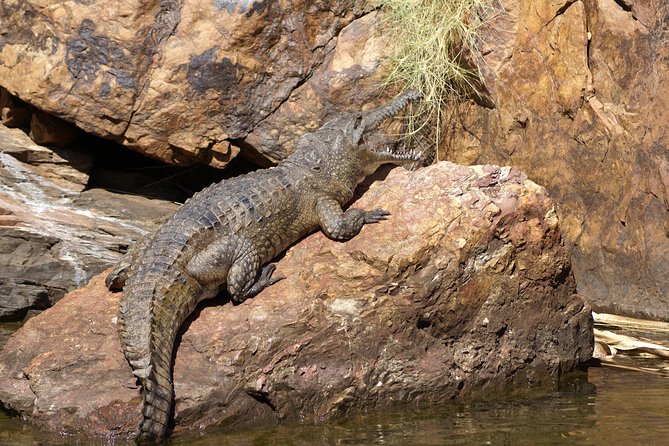 Ord River Cruise Experience With Riverside Lunch - Pickup and Drop-Off Convenience