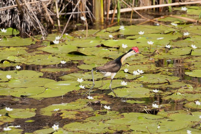 Ord River Discoverer Cruise With Sunset - Pickup and Departure Information