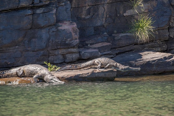 Ord River Discoverer Cruise With Sunset - Pricing and Cancellation Policy