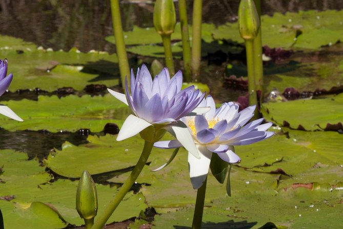 Ord River Explorer Cruise With Sunset - Duration and Inclusions