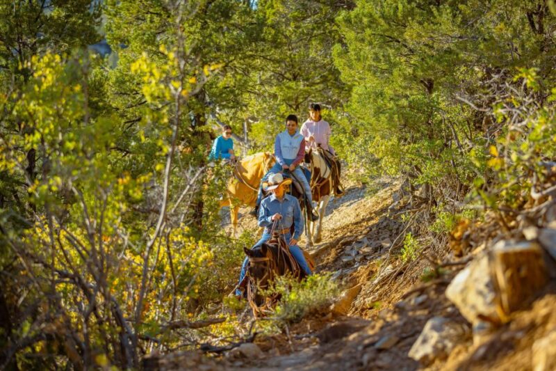 Orderville: Checkerboard Evening Shadow Horseback Ride - Inclusion and Requirements