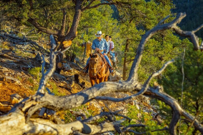 Orderville: Checkerboard Evening Shadow Horseback Ride - Customer Feedback