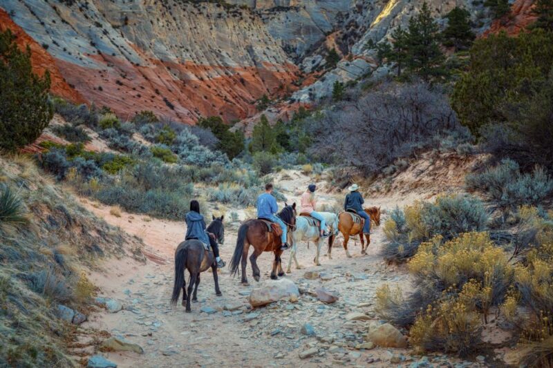 Orderville: East Zion Park White Mountain Horseback Tour - What to Bring