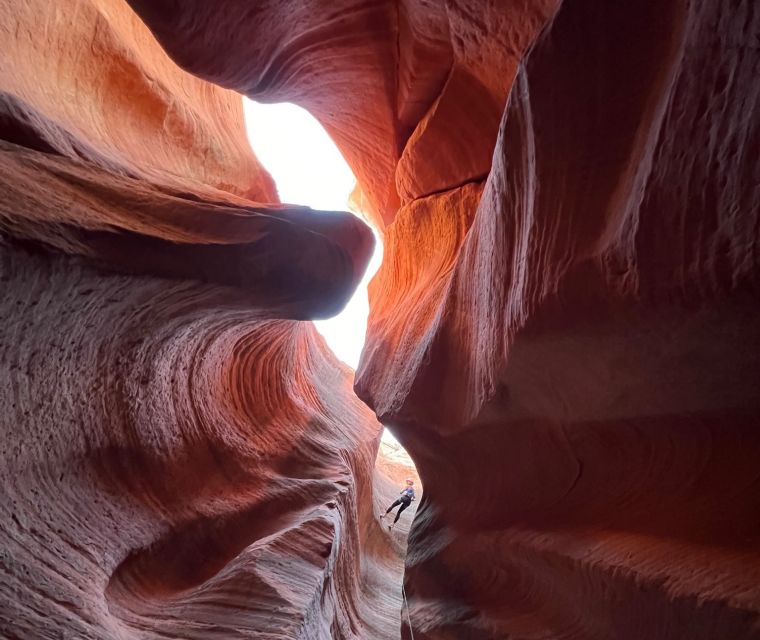 Orderville: Rappelling Slot Canyon and UTV Tour - Key Points