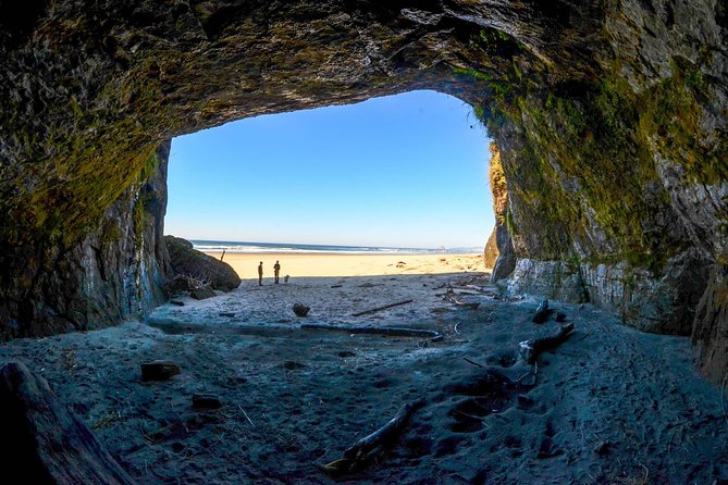Oregon Coast Sightseeing Tour - Operating Hours