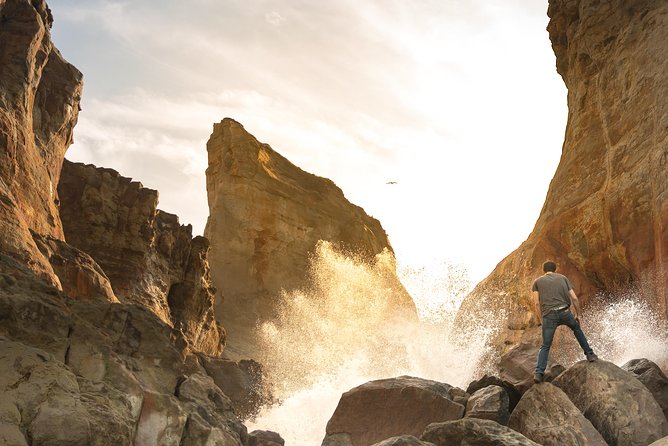 Oregon Coast Sightseeing Tour - Highlights of the Tour