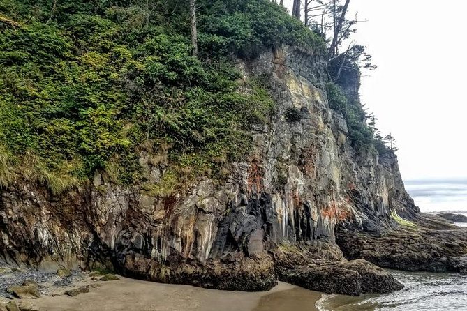 Oregon Coast Tour and Wine Tasting From Portland- Full Day Tour - Reviews and Feedback